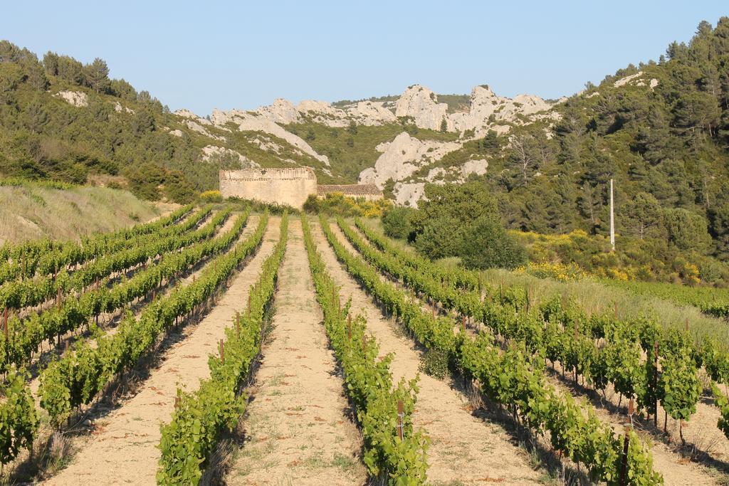 La Montagute Villa Thezan-des-Corbieres Eksteriør billede