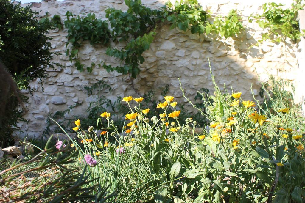 La Montagute Villa Thezan-des-Corbieres Eksteriør billede